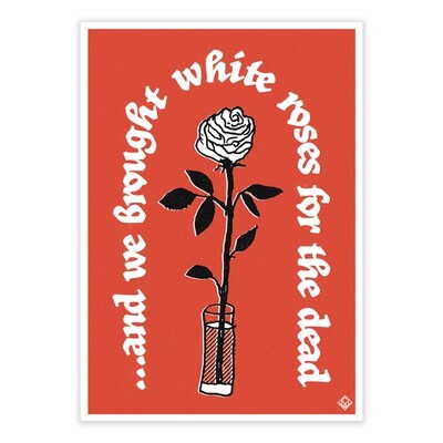 WHITE ROSES - Limited Edition, Signed A4 Print WHITE ROSES - Limited Edition, Signed A4 Print