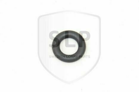 O-RING, 976029, OR-6029