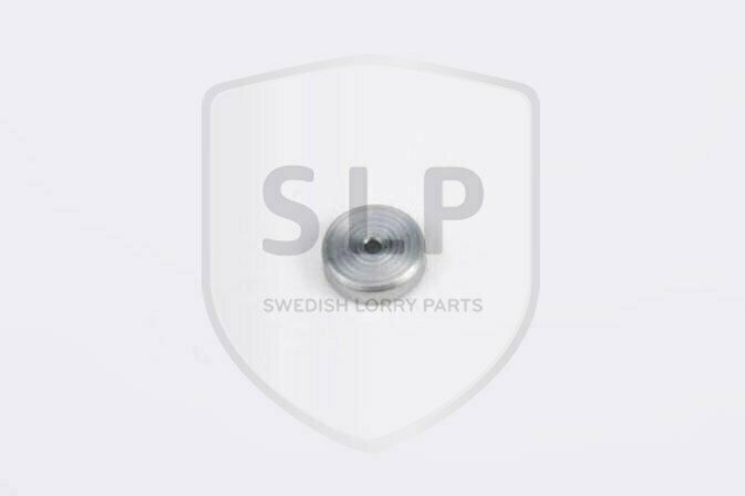 RESTRICTION WASHER, STRYPBRICKA, 11031684, RW-684