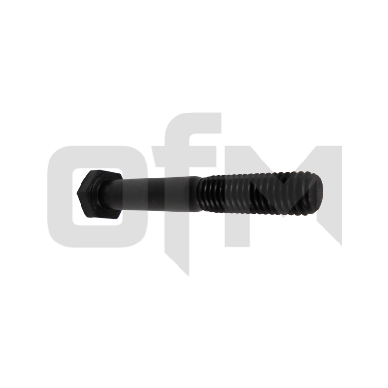 BOLT 0101030855