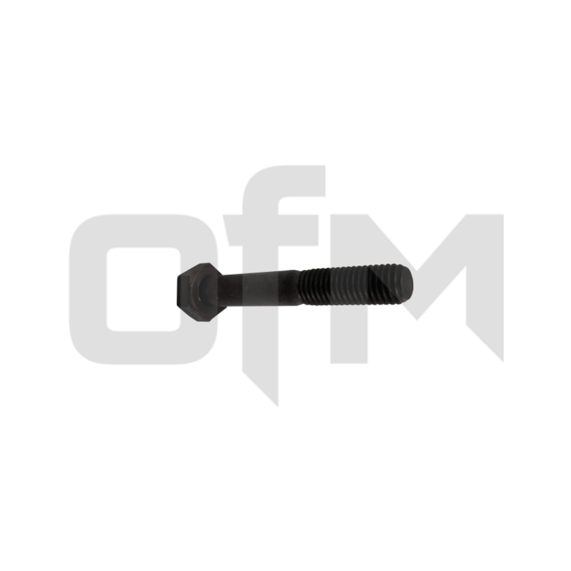 BOLT 0101031065