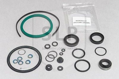 REPAIR KIT CLUTCH SERVO REP.SATS KOPPLINGSSERVO 273447 RK-194