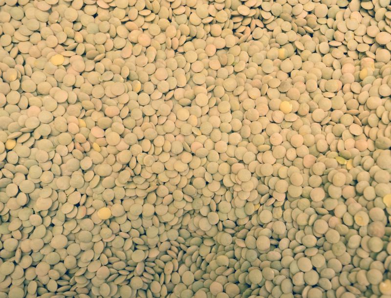 Green lentils