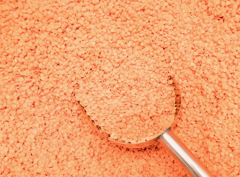 Red split lentils