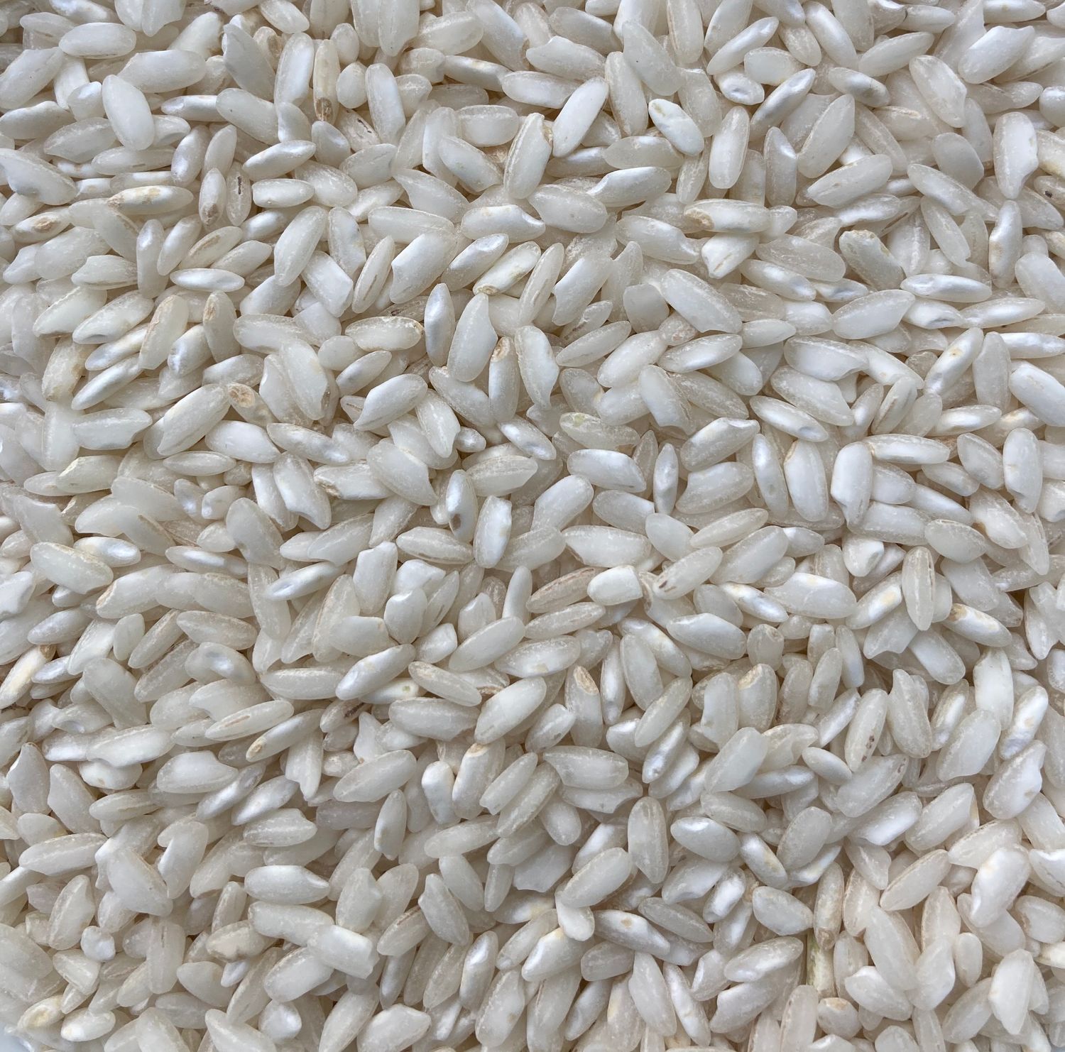 Arborio rice