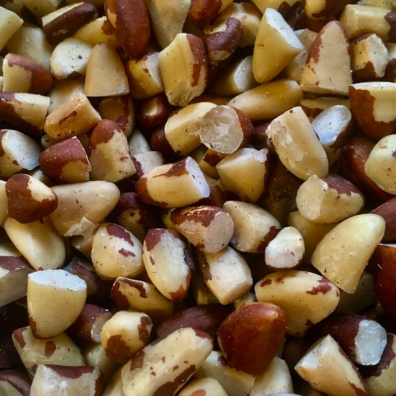Organic Brazil nut pieces