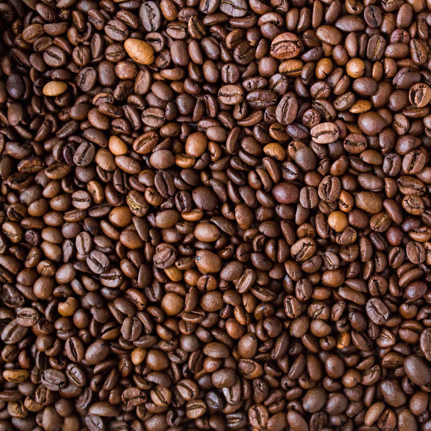 Organic Fair-trade decaffeinated professional roast coffee beans