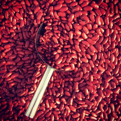 Beans &amp; Pulses - Dried