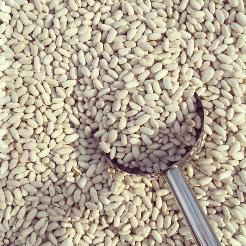 Cannellini beans Cannellini beans