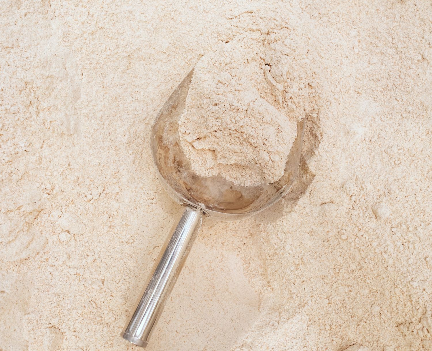 Doves organic strong wholewheat flour
