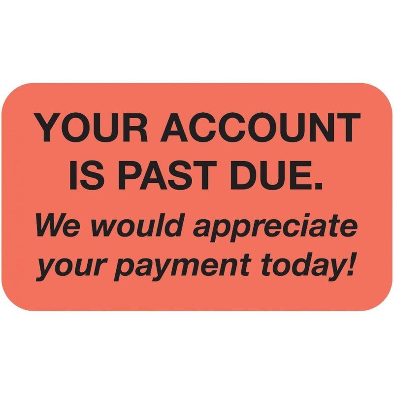 Payment on Past Due Account $25