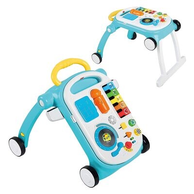 Baby Einstein Musical Mix Push Walker Combo