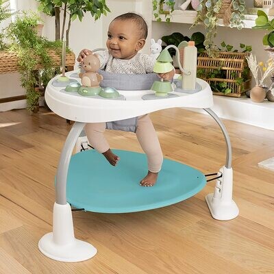 Ingenuity Spring &amp; Sprout 2-in-1 Baby Jumper