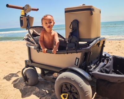 Veer All-Terrain Beach Cruiser Wagon - 2 seat