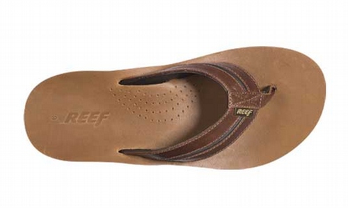 REEF - PLAYA CERVESA