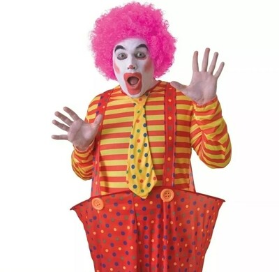 Unisex Adults Clown Pop Wig PINK (W15/24)