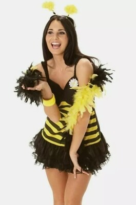 Bumble Bee Dress 8-10 (C22)
