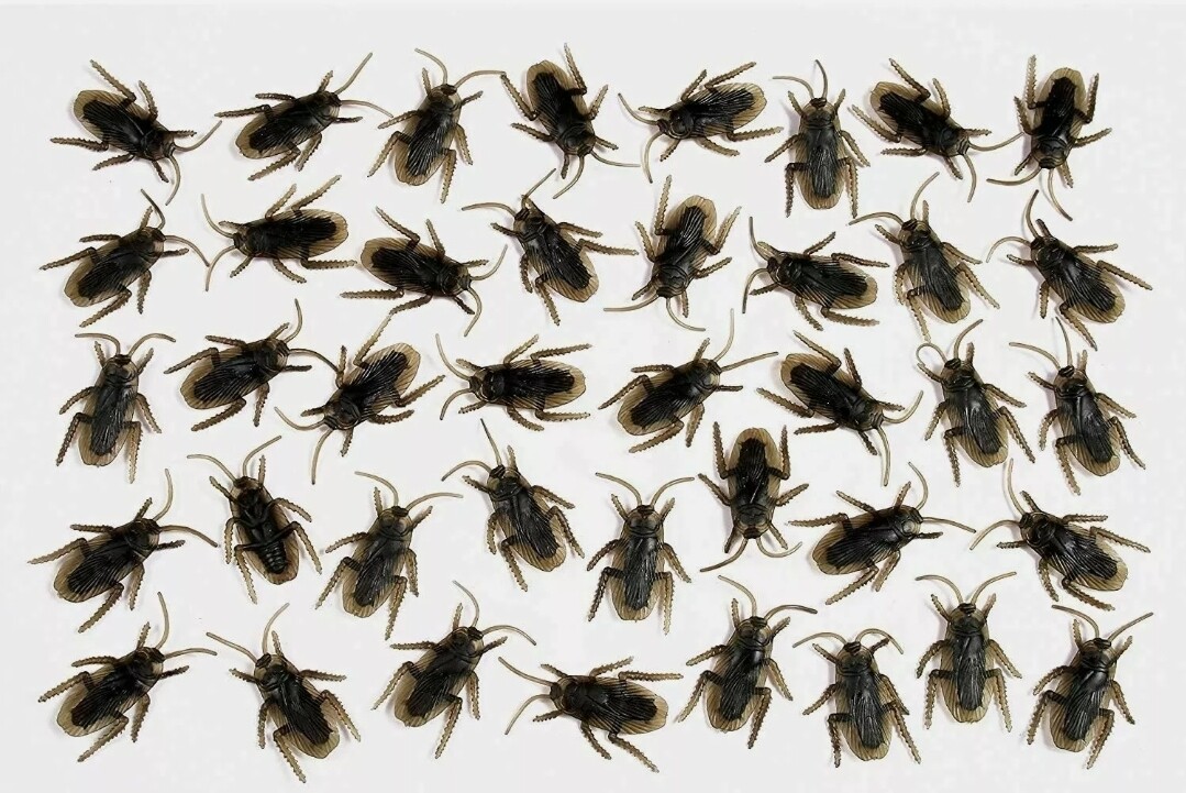 Fun World Bag O Roaches (40)