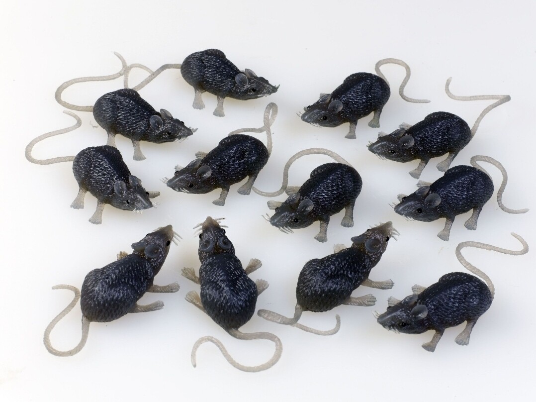 Fun World Bag of 10 Mice