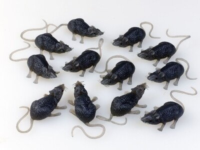 Fun World Bag of 10 Mice