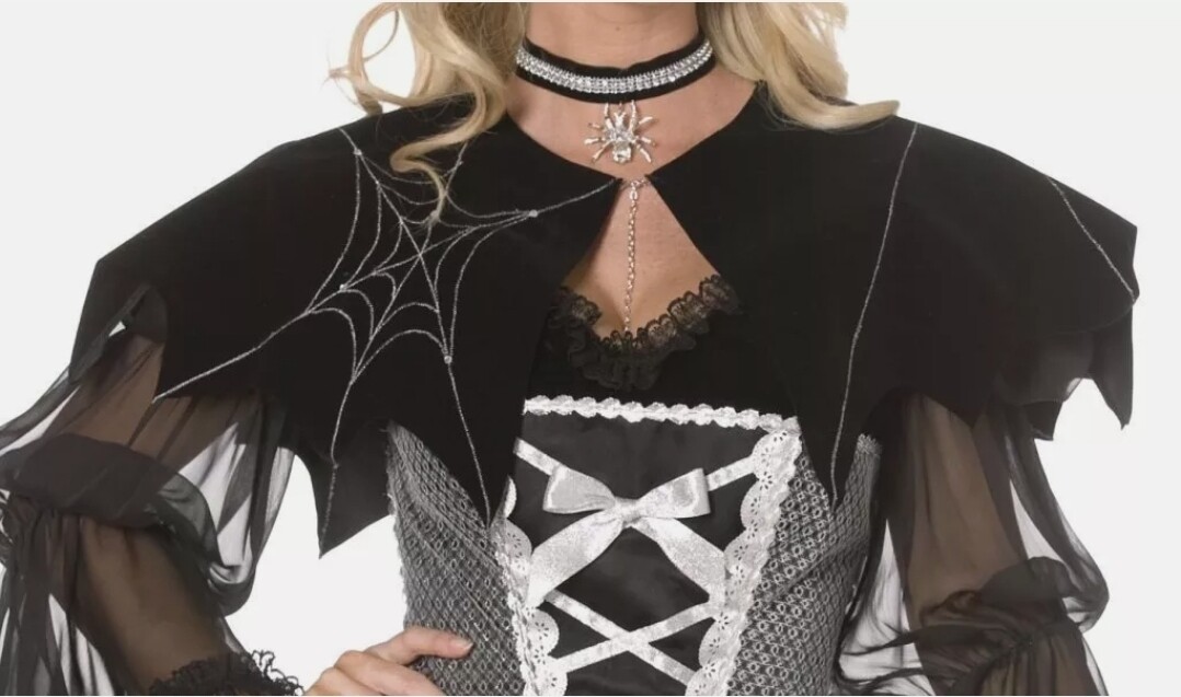 Halloween Black Spiderweb Cap Witch (C22)