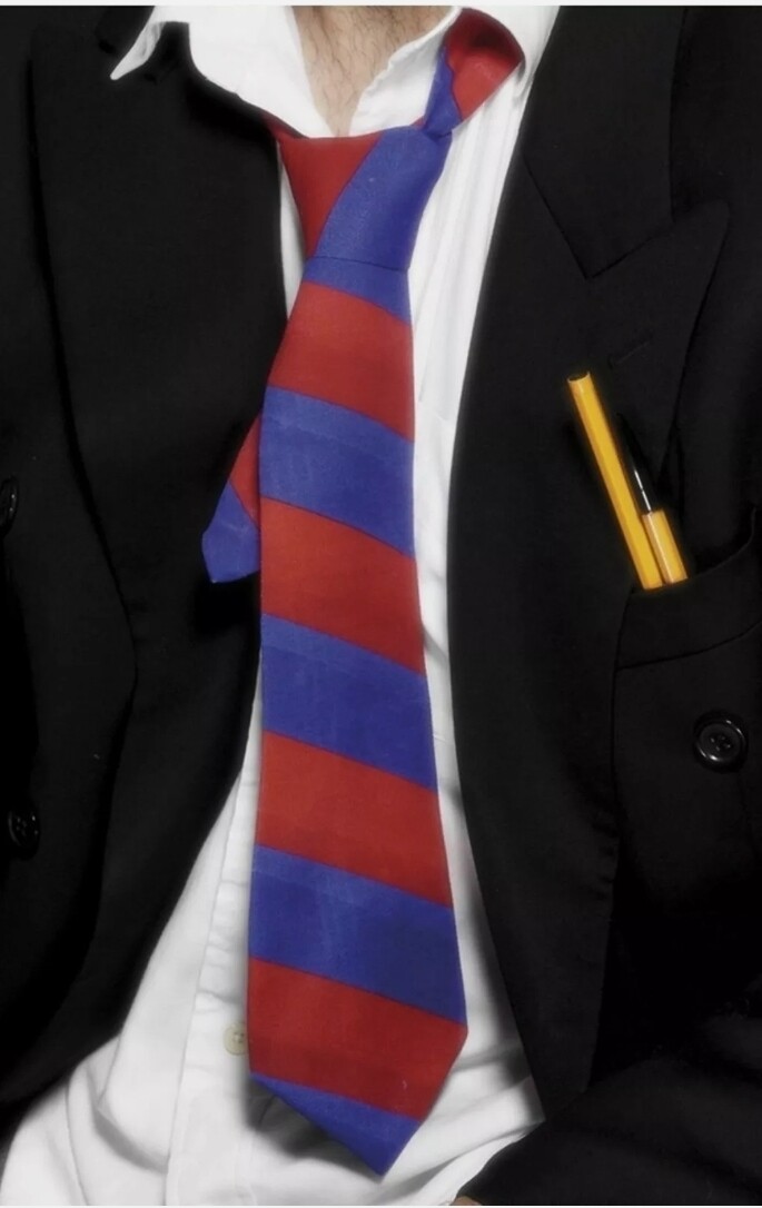 School Tie Red Blue Mens (C22)