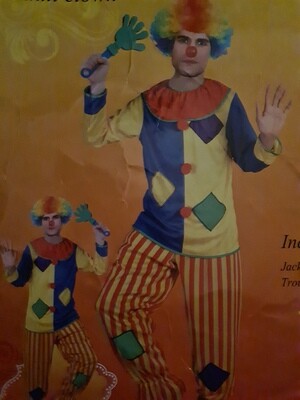 Adult clown Costume