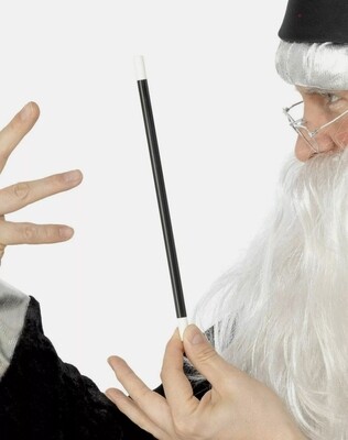 Kids Toy Magician Wizard Magic Wand Potter Gandalf Dumbledore