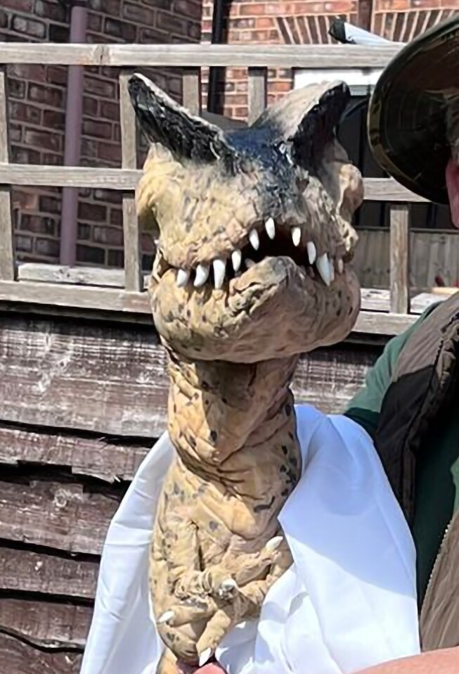 COLIN the Baby Dino