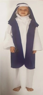 Nativity Boy&#39;s Fancy Dress Christmas Xmas Play Costume 6-8 (C22)