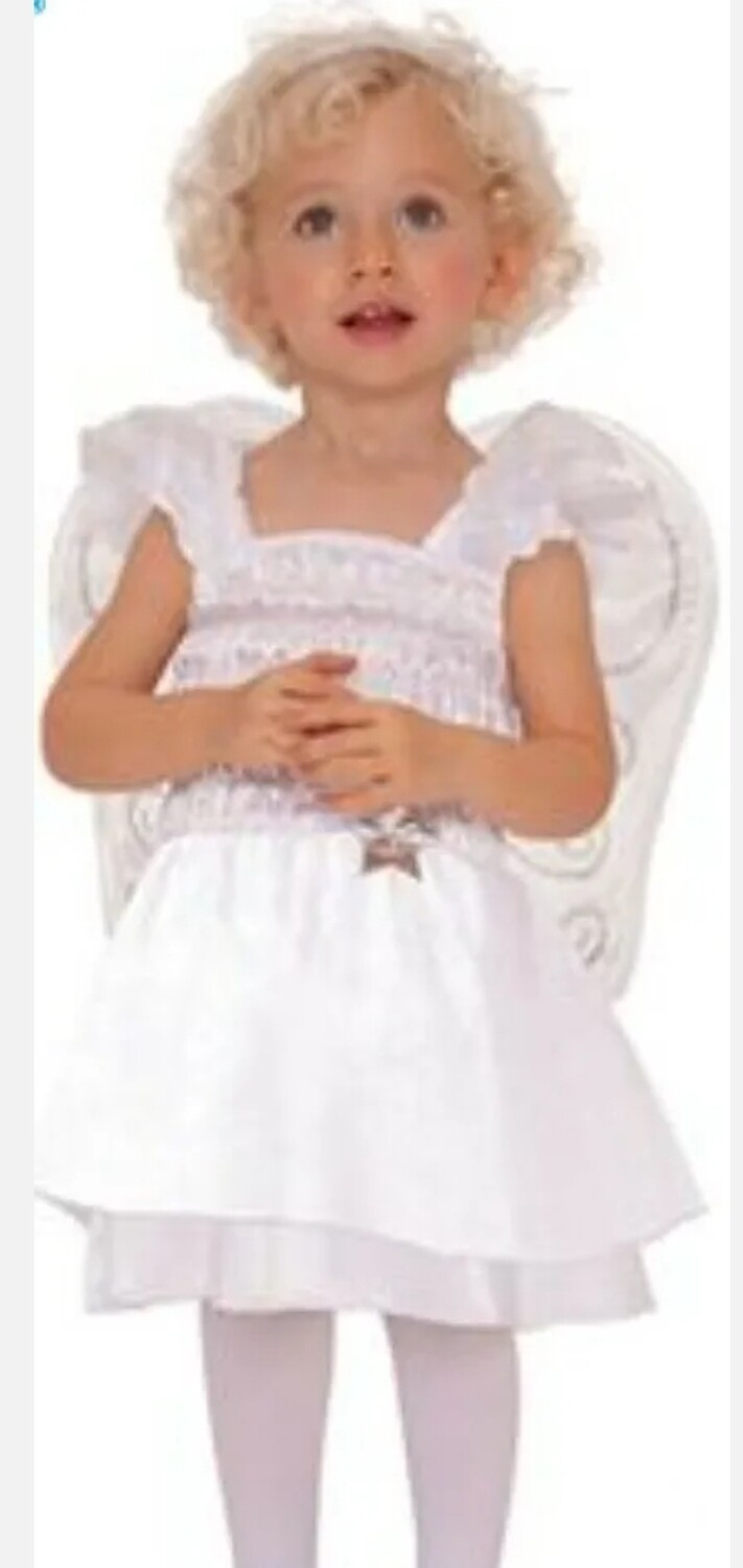 Little Angel Costume 12-24 months (C22)