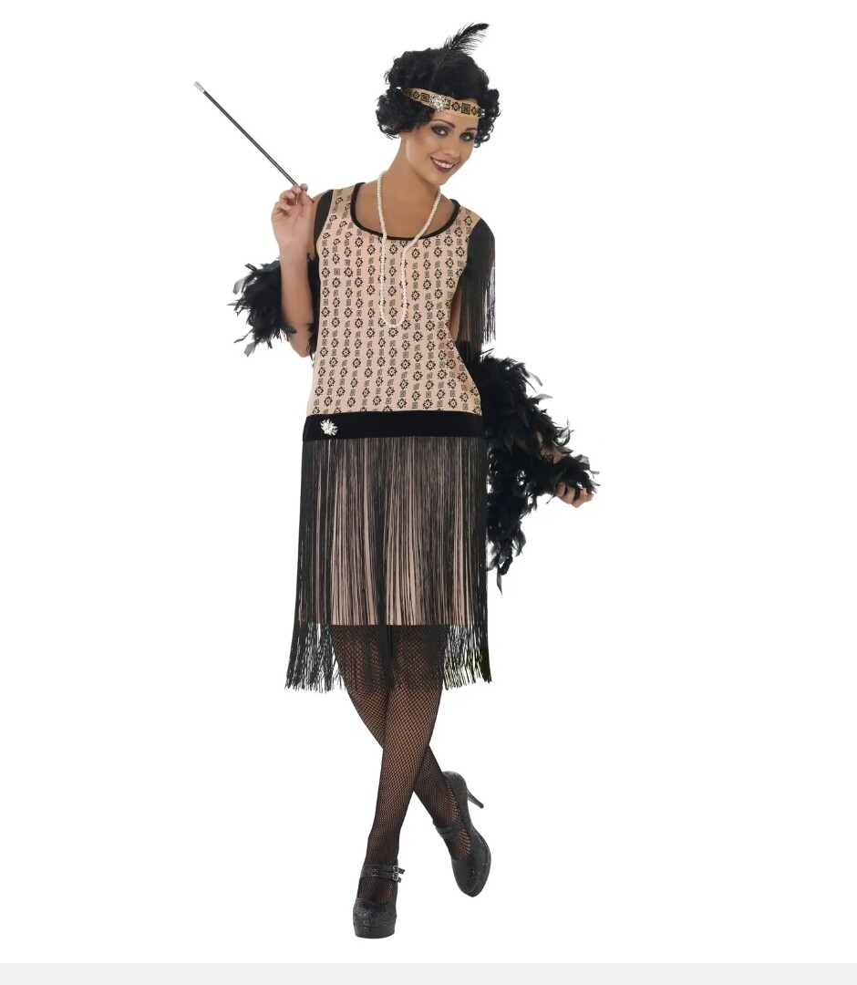 Coco Flapper Costume Adult Charleston Gatsby Fancy Dress S 8-10 (C22)