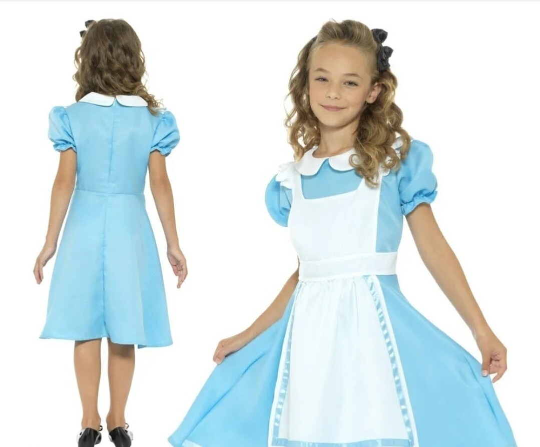 Girls Alice Princess Costume 4-6 (WC61)