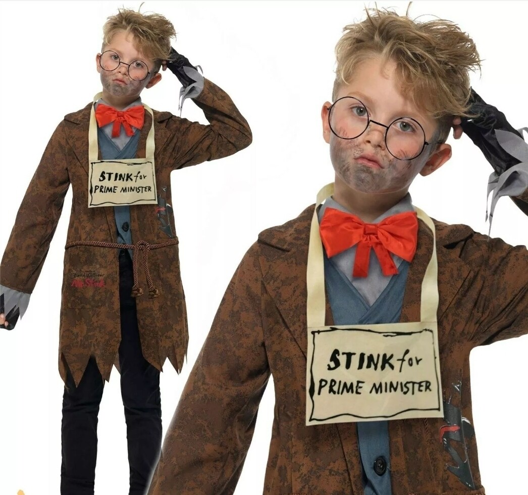 Child Deluxe Mr Stink Costume 4-6 (C22)