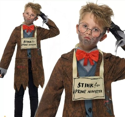 Child Deluxe Mr Stink Costume 4-6 (C22)