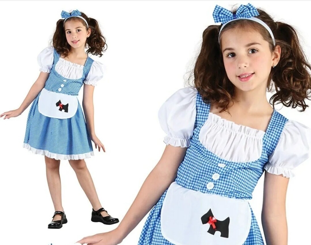 Child Fairy Tale Dorothy Costume 4-6 (WC62)