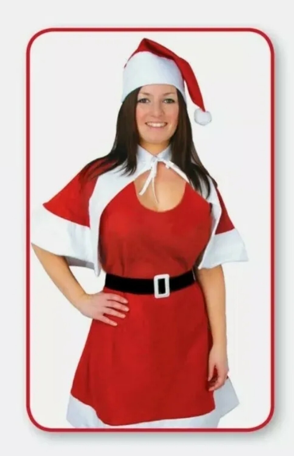 Miss Santa Claus Adult Womens (C22)