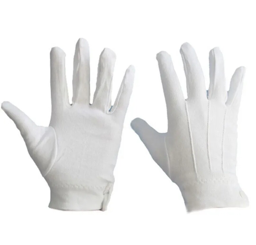 White Formal Short Gloves Adult