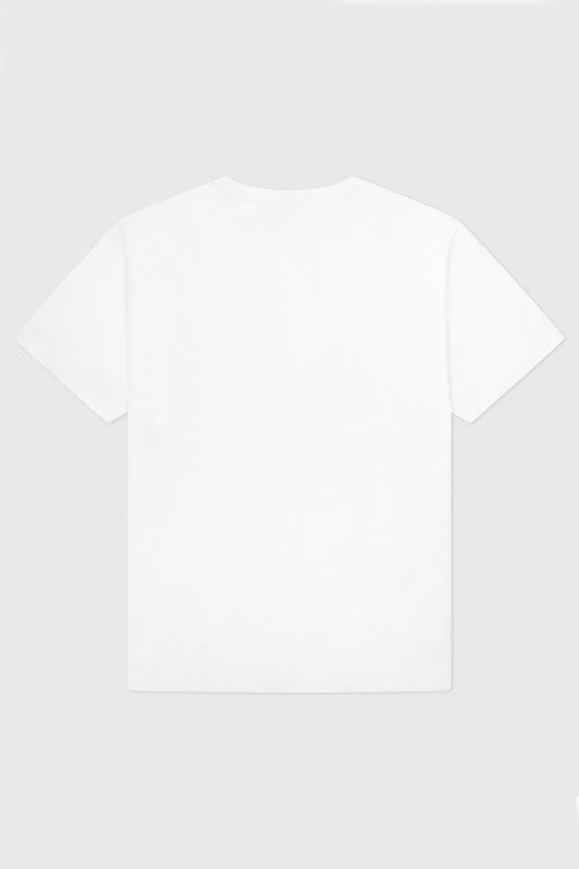 PERPET SHIRT CLASICO REGULAR
