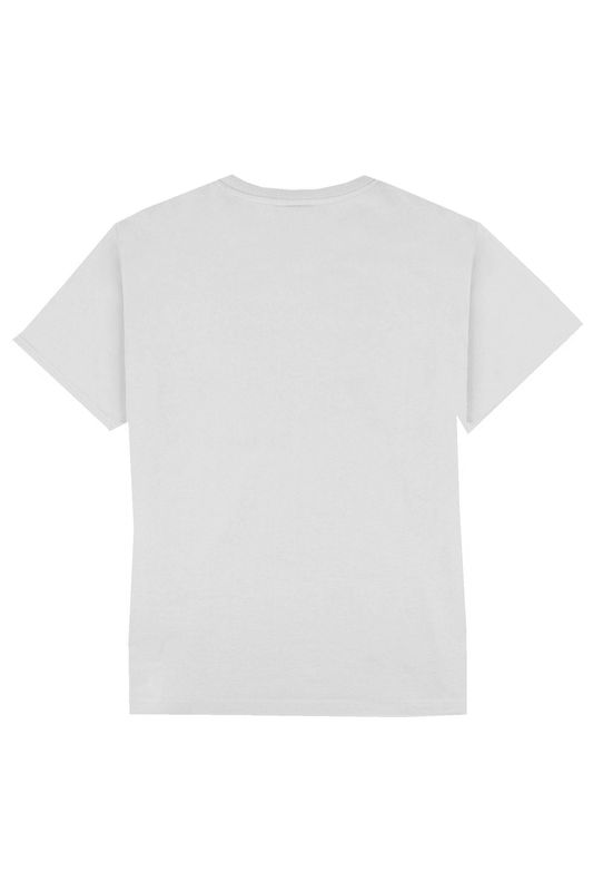 PERPET SHIRT CLASICO REGULAR