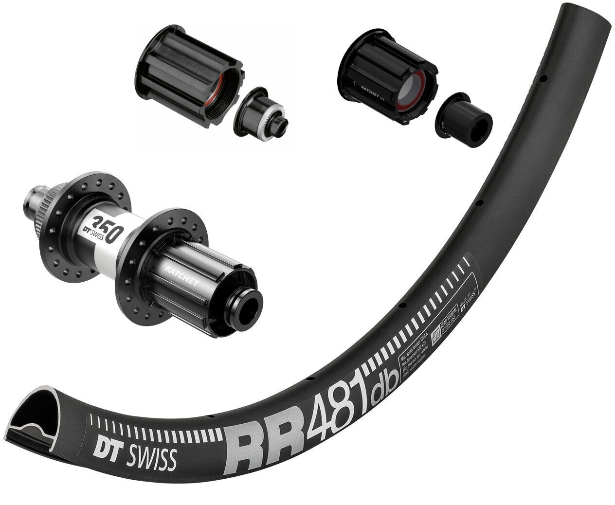 DT Swiss RR 481 700c rim with DT Swiss 350 hubs. For disc brake, quick release or 12mm thru-axles. CAMPAGNOLO
