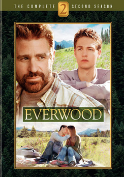 Everwood: The Complete Second Season - DVD - Used