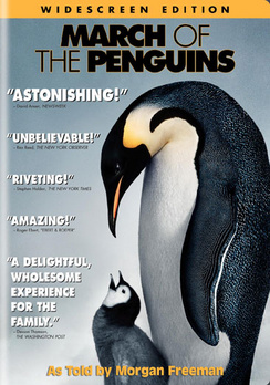 March of the Penguins - Widescreen - DVD - Used