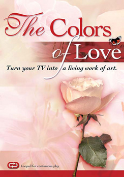 The Colors of Love - DVD - Used