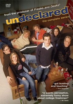 Undeclared: The Complete Series - DVD - Used