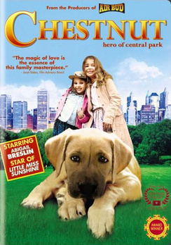 Chestnut: Hero of Central Park - Full Screen - DVD - used