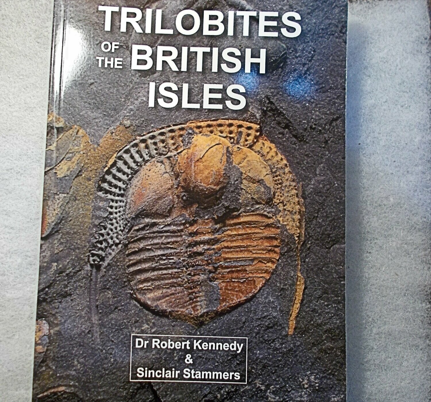 TRILOBITES of the BRITISH ISLES Kennedy & Stammers 2018. Lavishly illustrated comprehensive modern overview of British and Irish trilobites
