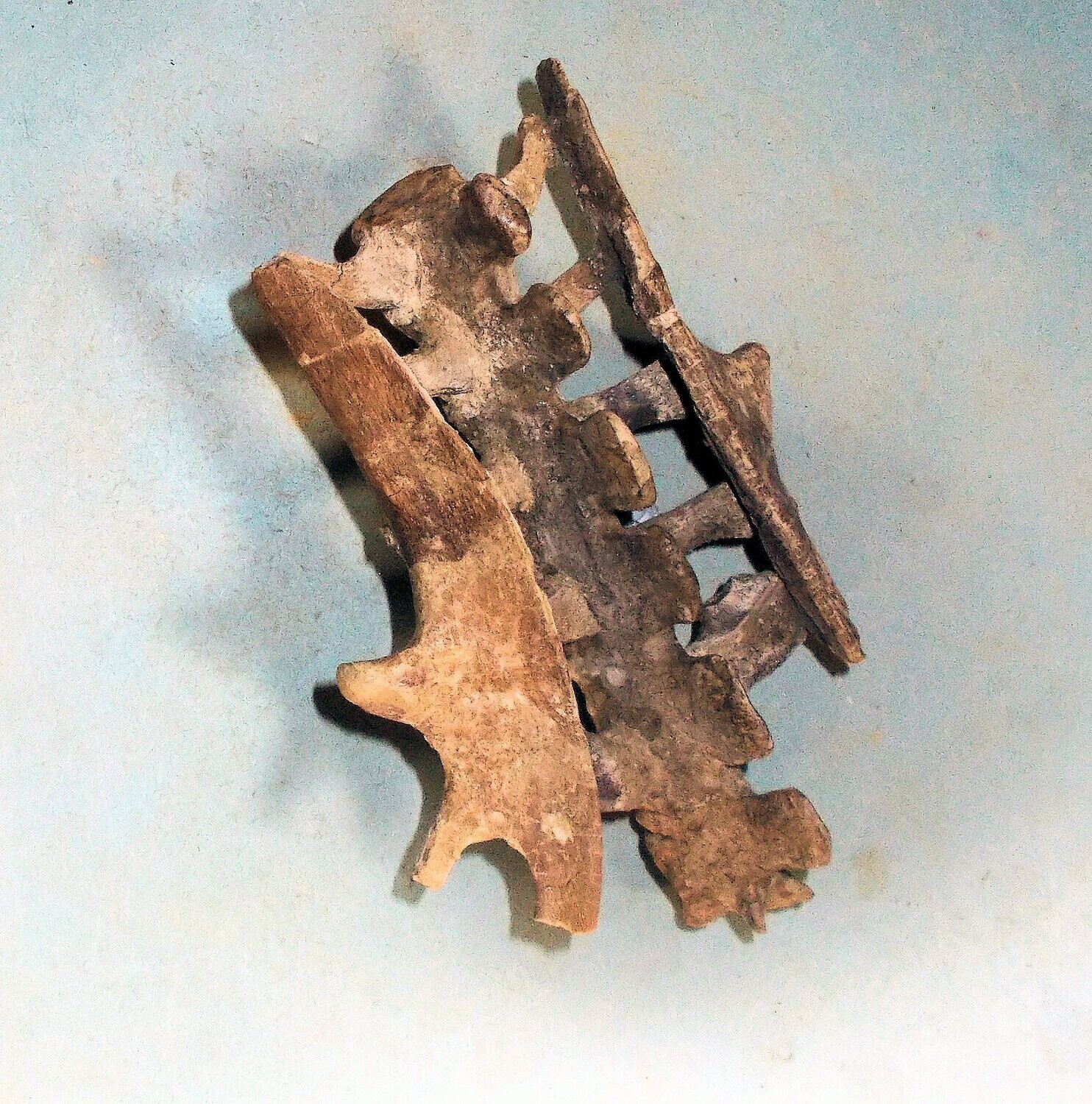 Fine 13cm X 9cm  articulated vertebrae and pelvic structure of Psittacosaurus mazongshensis  from the Lower Xinminbao Formation of Ganzu Province, China.