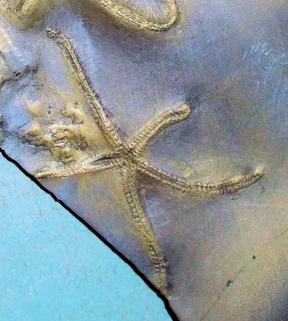 Fine and complete double starfish Urastella asperula, both with all five arms in excellent detail.  Lower Devonian of  Bundenbach.