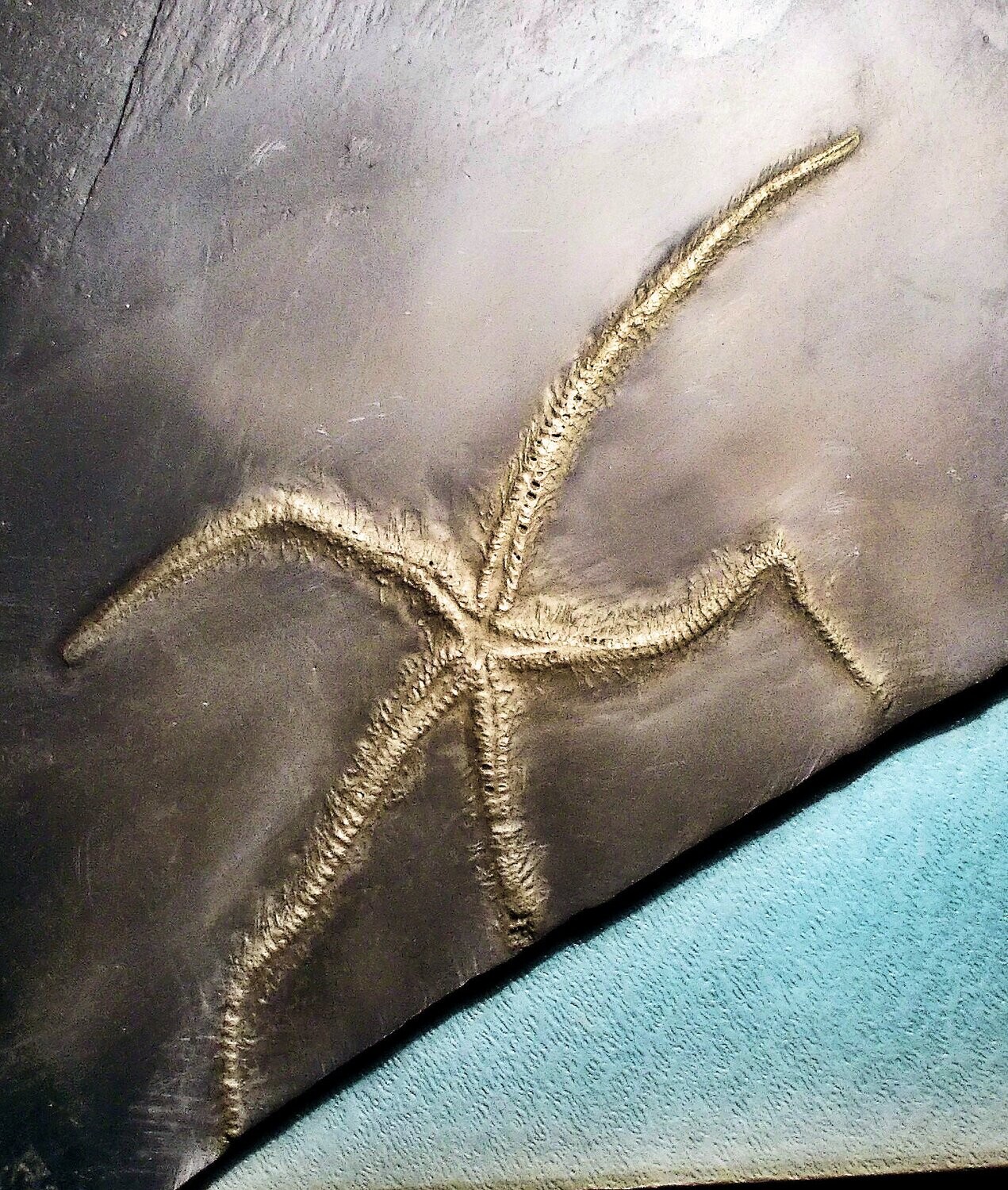 Fine and near complete 12.5 cm starfish Liriolaster mirabilis with all five arms in excellent detail.  Lower Devonian of  Bundenbach.